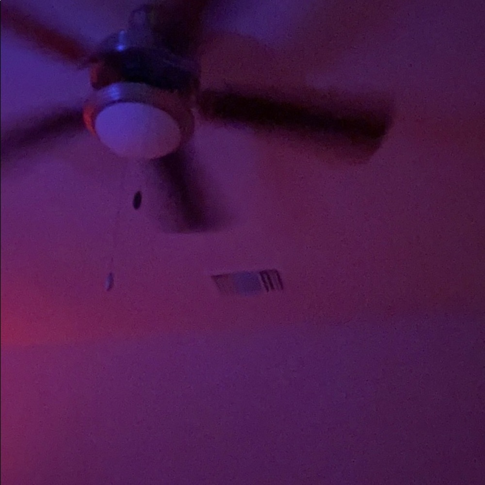 Meet your Posher, Peter